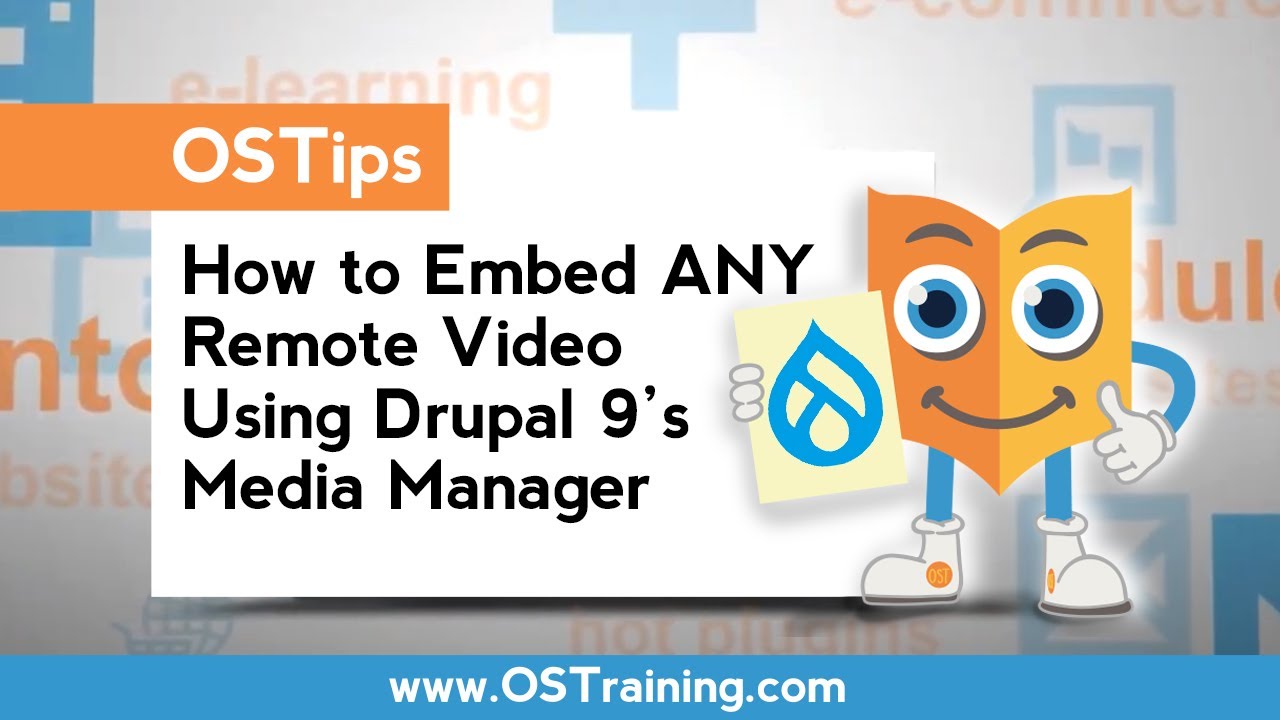 Implement media source plugin for remote video via oEmbed