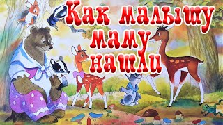 Как малышу маму нашли🦌❤️В. Орлов📚Сказки на каждый вечер