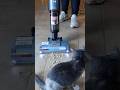 Using the Shark HydroVac to clean up cereal. #cleaning