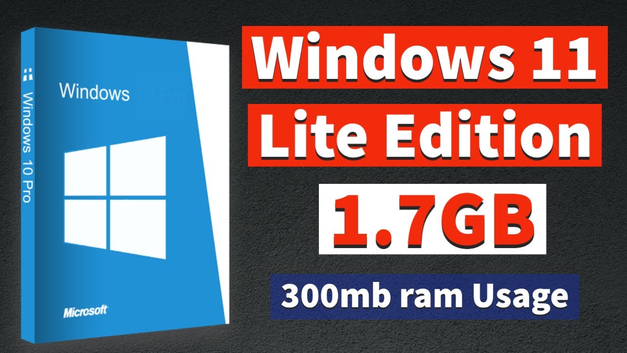 Windows 11 Lite 