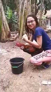 Cewek mandikan ayam