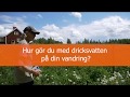 Hur gör du med dricksvatten på din vandring?