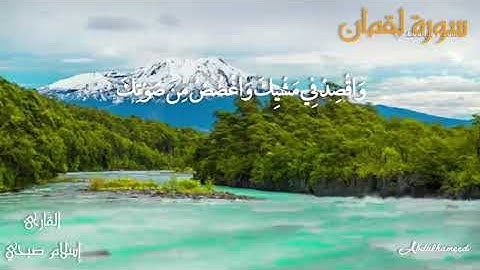 سورة لقمان سبحان من رزقه هذا الصوت . #القارىء_اسلام_صبحي