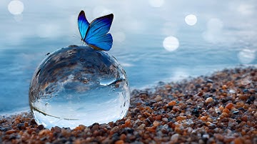 The Butterfly Effect: Small Changes, Big Impact!