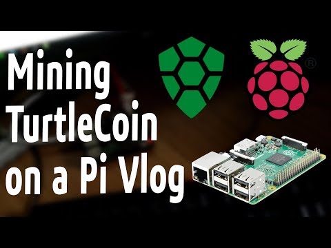 Mining TurtleCoin on a Raspberry Pi
