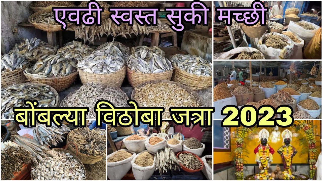 bomblya vithoba yatra 2023 || बोंबल्या विठोबा जत्रा साजगांव खोपोली २०२३ @Rachikoli