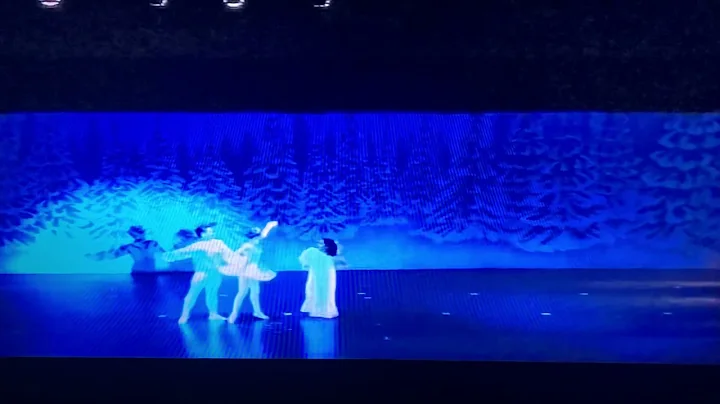 2013 Snow Pas