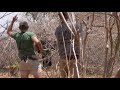 This is Africa-Episode 7- Season 3- Wounded and lost ?
