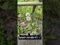 snsやってる風のショート動画