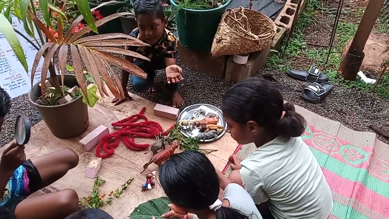 ED 300-specification 3-Alternative pedagogies and curriculum approaches-Nature discovery