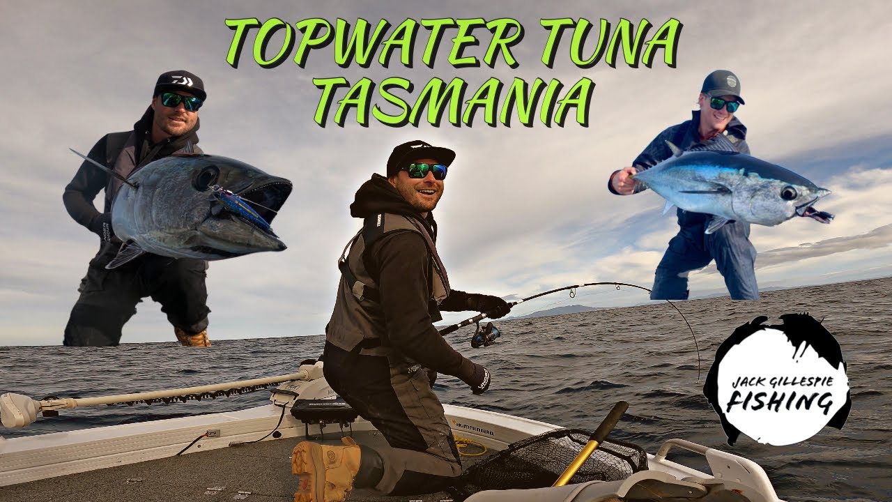 TOPWATER TUNA TASMANIA YouTube