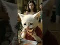 Poor cat bullied in class #catshorts #catvideos #cats