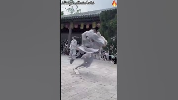 Shaolin ⛩⛩⛩ Warrior Monk’s Performance #shorts #kungfu #martialarts