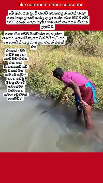 මෙහෙම කරන අයට විශ්වයෙන් ලැබෙන දඬුවම කුමක් වෙයිද?🙏🩷🏵️🌸🌺🪷♥️💮🙏/#aanisansa #trending #viralvideo