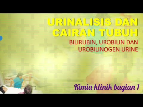 4. Kimia Urine: Bilirubin Urobilinogen Urobilin dan Keton Urine