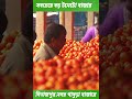 উত্তরবঙ্গের সবচেয়ে বড় টমেটো বাজার দিনাজপুরের গাবুরাতে/ #dinajpur_news #dnj_news #shortsvideo