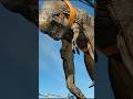 【奇形】Dレックスを治療してみた！/[Body Deformity] We tried treating a D-Rex! #jurassicworldrebirth