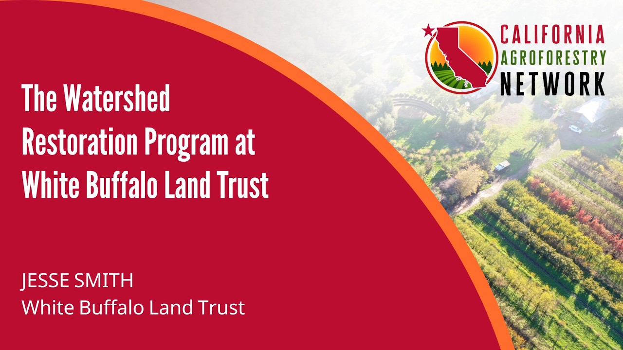 Nutshell Talk: The Watershed Restoration Program at White Buffalo Land Trust