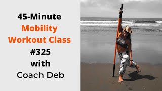 Clase de entrenamiento de movilidad de 45 minutos #325 - Ejercicios con Stick Mobility