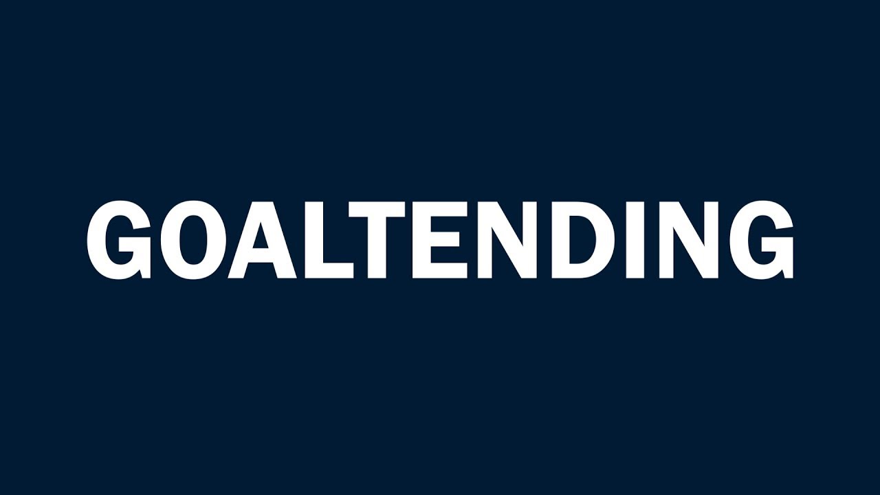 USA Goaltimate Rules Goaltending YouTube