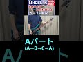 サビに入る前にもいろいろあります / LINDBERG - ROUGH DIAMOND【ベース弾き+解説】#shorts