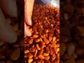 Jumbo Open-Shell Pine Nuts | Fresh Harvest | Premium Quality 🥜