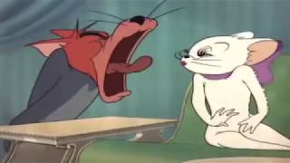 Tom and Jerry - Episode 55 - Casanova Cat (1951) Part 2 Cartoon HD