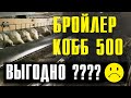 Бройлер кобб 500. ВЫГОДНО ЛИ ВЫРАЩИВАТЬ ДОМА НА САМОМ ДЕЛЕ? Что в итоге получилось у нас из опыта!