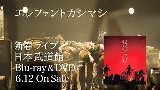 エレファントカシマシ - News - Live Blu-ray ＆ DVD「エレファント