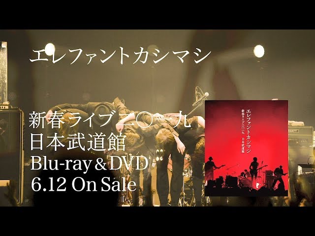 LIVE Blu-ray/DVD「新春ライブ2019 日本武道館」ダイジェスト