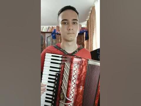 Мевл - Патамушка (на аккордеоне) #Shorts - YouTube