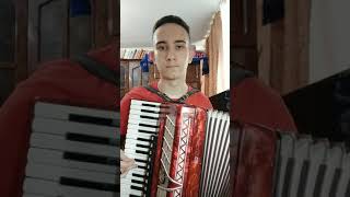 Мевл - Патамушка На Аккордеоне