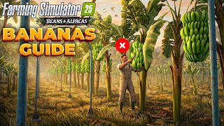 How to Plant & Harvest Bananas in Farming Simulator 25!  News