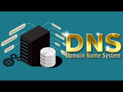 CCNA受験者にこそ見て欲しい　DNSを解説します【弓削/ネットビジョンアカデミー】