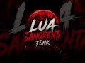 LUA SANGRENTA FUNK /NEW 2026 #bass_boosted #funk_music #funk #phonk #instrumental #music#shorts#ai