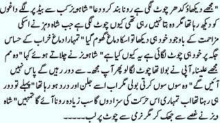 Shining Novel    Cousin Marriage Based Novel  Czn Marriage Funny Romantic Urdu Novel