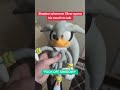 Shadow whenever Silver opens his mouth to talk