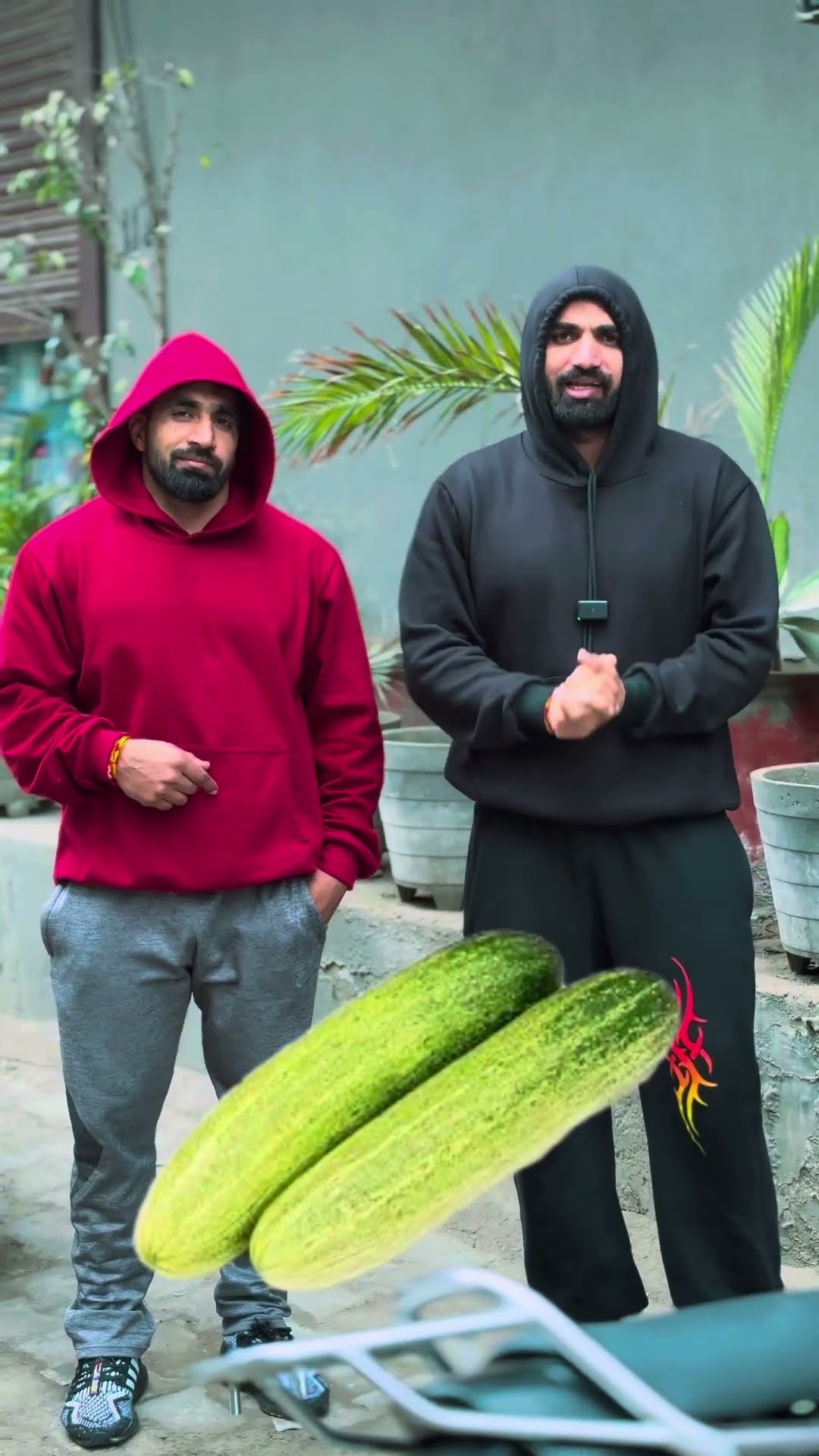 kon kon shugar se dukhi h