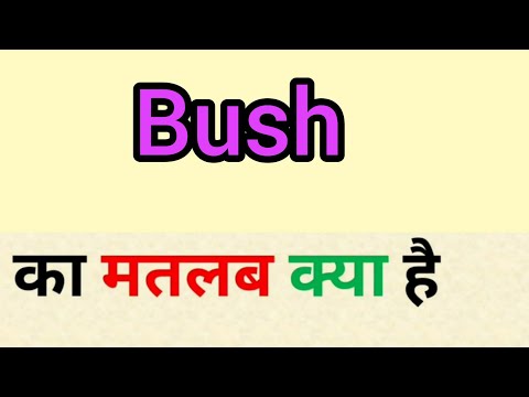 वीडियो: बुशवॉक का क्या मतलब होता है?