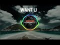 ARMNHMR &amp; ASHR - WANT U (Ft. Lilianna Wilde)