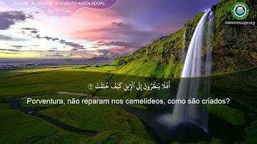 سورة 88. الغاشية (ترجمة باللغة البرتغالية) | مشاري بن راشد العفاسي