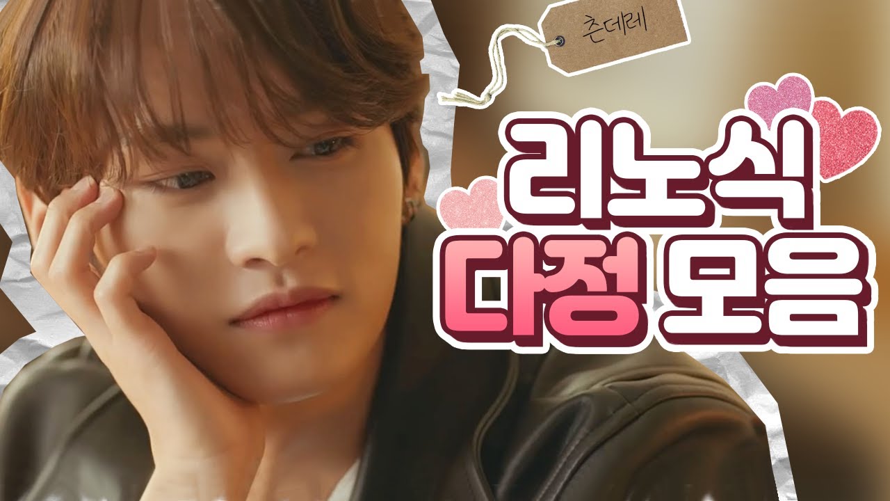 [스트레이 키즈/리노] 리노식 다정 모음