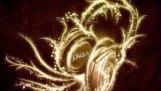 DEEPSIDE DEEJAYS - NEVER BE ALONE (DJ Ró) .wmv