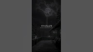 محمد اللحيدان تلاوة خاشعة #القرآن_الكريم #اكسبلور #قرآن #quran