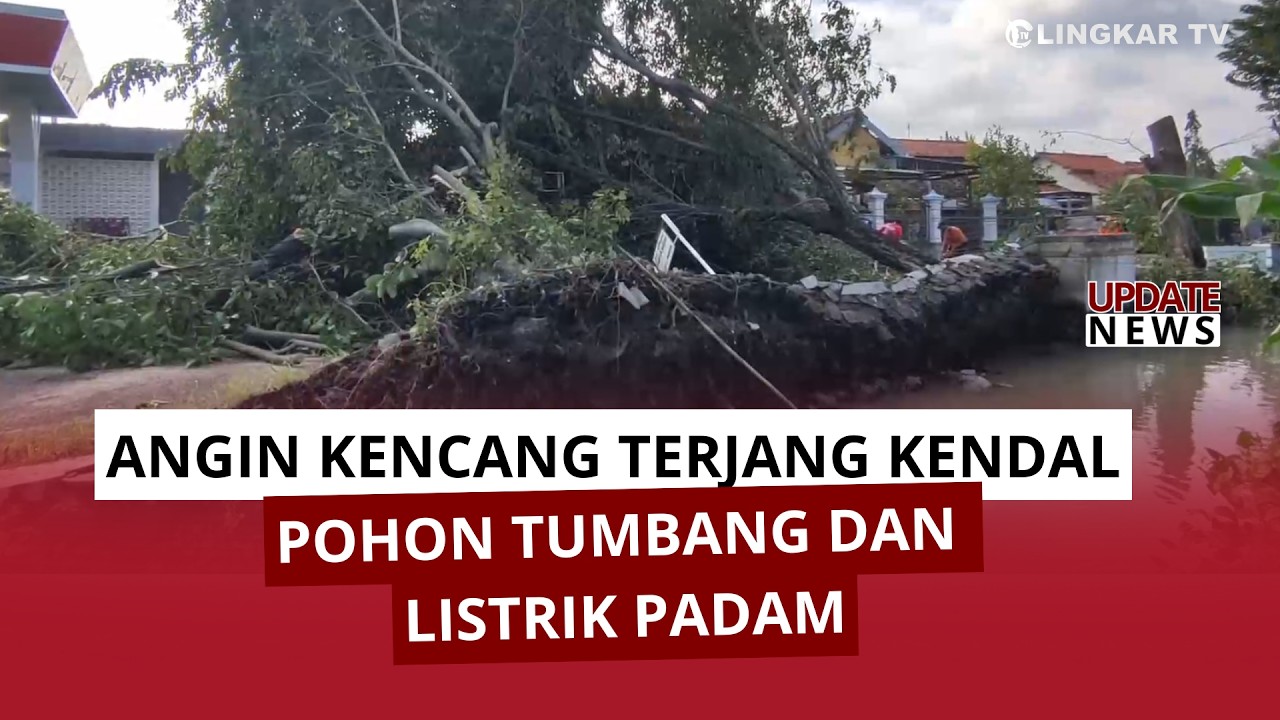 ANGIN KENCANG TERJANG KENDAL! RATUSAN POHON TUMBANG, LISTRIK DAN INTERNET SEMPAT LUMPUH