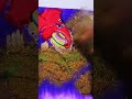 Ganpati bappa ka drawing #viral #youtubeshorts #trending