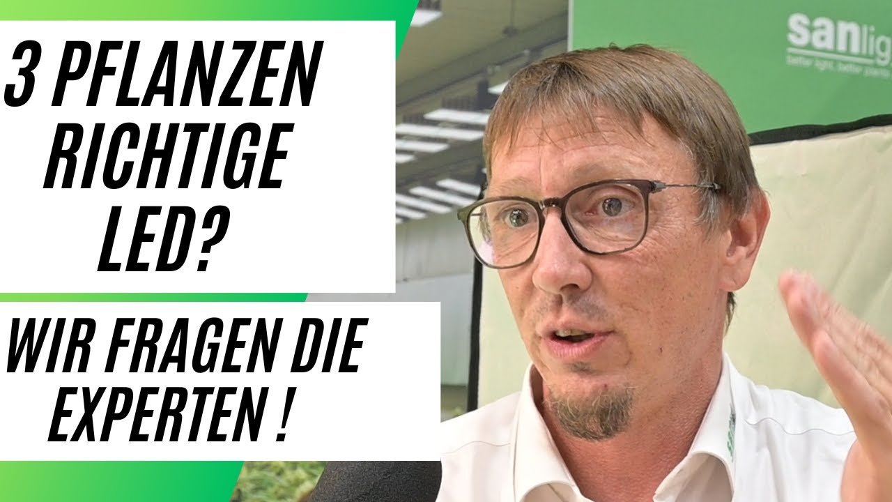Cannabis Anbau Richtige LED EXPERTEN CANNAFAIR 2023 Martin Anker Sanlight Florian Ablinger Etagrow