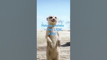 Thumbnail of THE LION KING Song | HAKUNA MATATA SONG | Lion King Song |