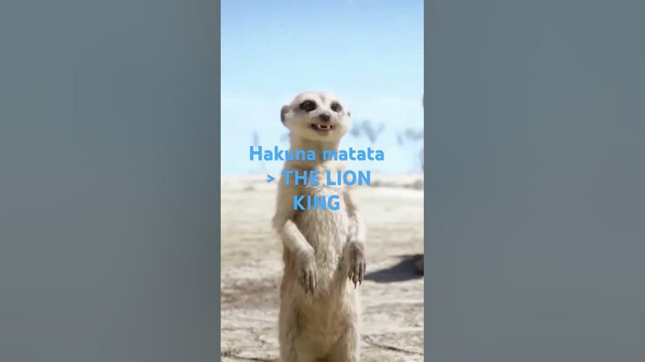 THE LION KING Song | HAKUNA MATATA SONG | Lion King Song |