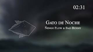 Ñengo Flow & Bad Bunny - Gato de Noche